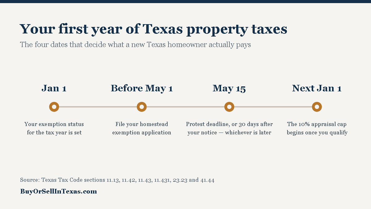 Timeline of a Texas homeowner's first year of property taxes: January 1 sets exemption status for the tax year, homestead exemption applications are due before May 1, the protest deadline is May 15 or 30 days after the appraisal notice whichever is later, and the 10 percent appraisal cap begins the following January 1.